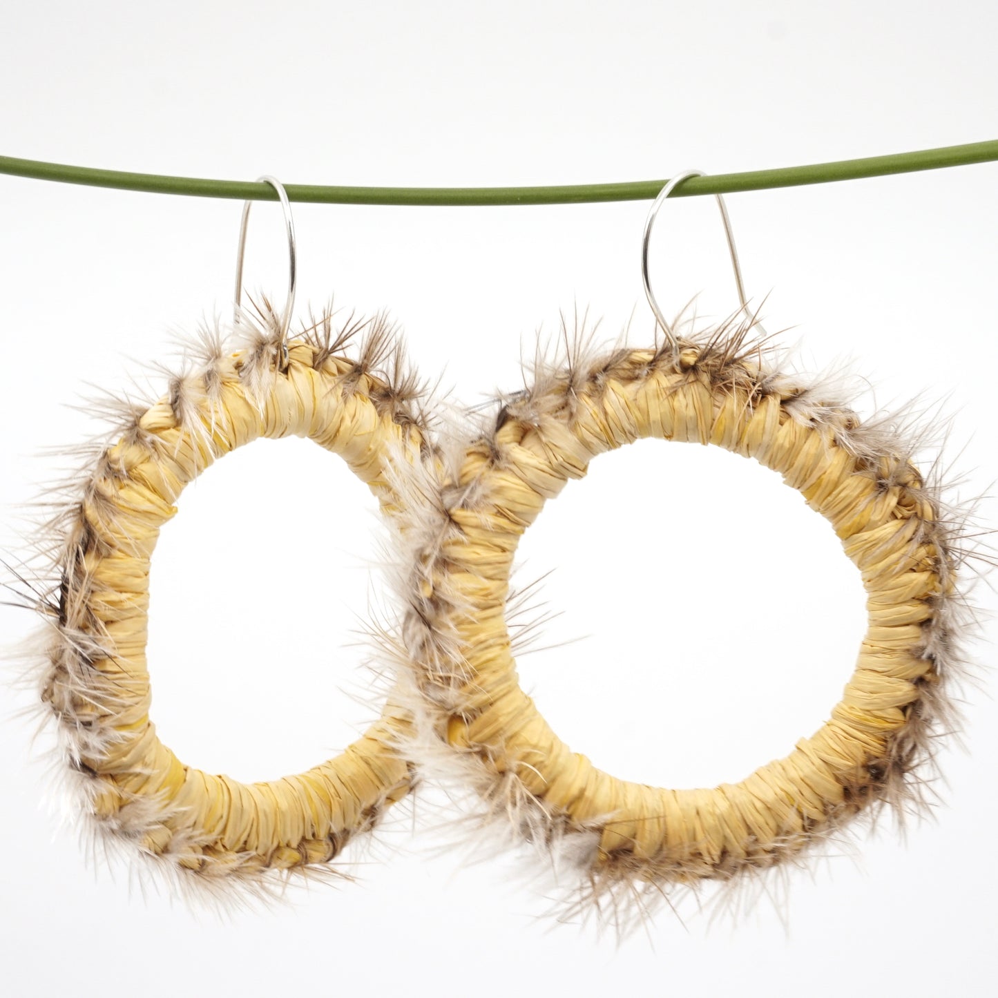 Yellow Tussock Moth Emu Feather Raffia Hoop Earrings